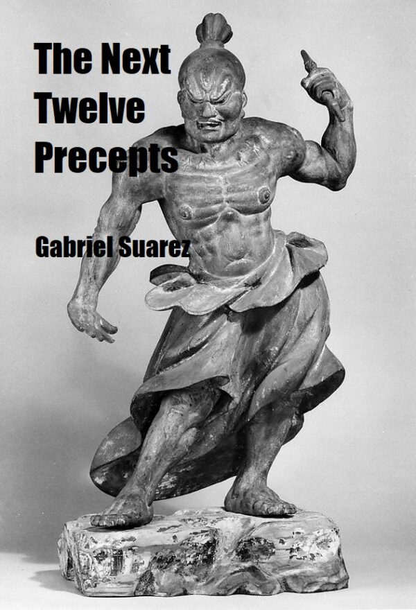 THE NEXT 12 PRECEPTS - DIGITAL